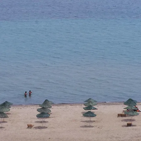 Отель Palmera 3*