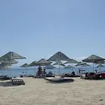 Palmera Sarimsakli