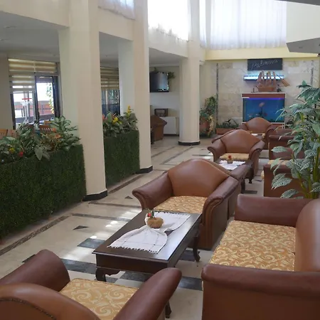 Palmera 3*
